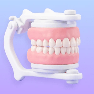 3D illustration of a dental articulator showing function and bite.