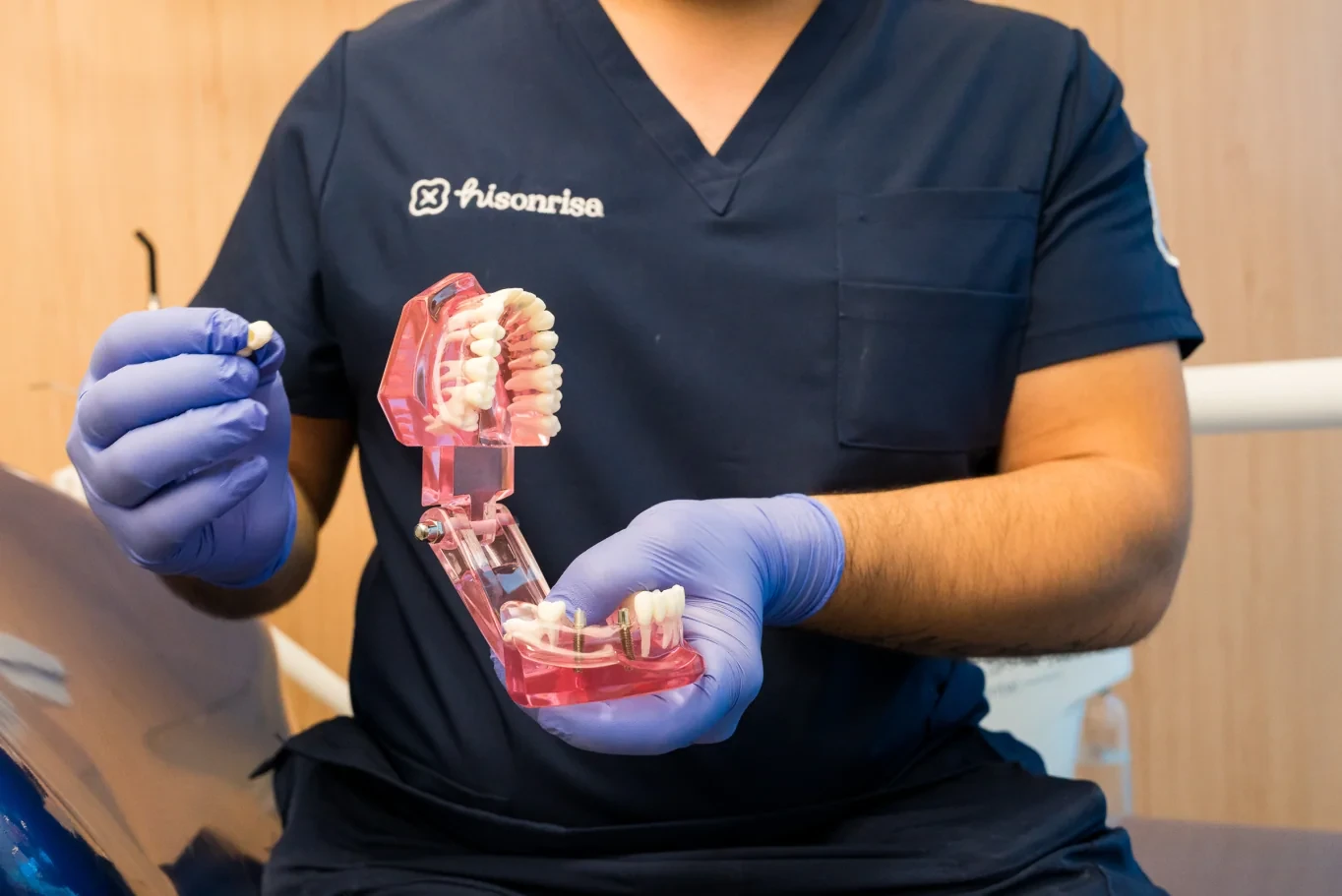 Dentist holding an implant model and a small restorative component.