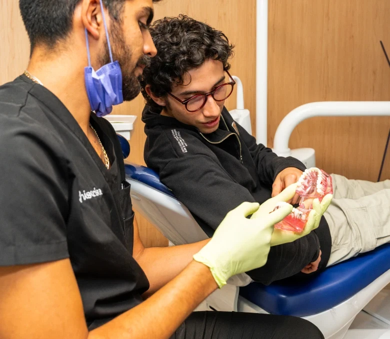 Dentist explaining a dental model to a patient at hisonrisa in Roma Sur.