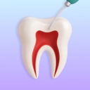 Root canal icon showing a tooth cross-section and endodontic file.