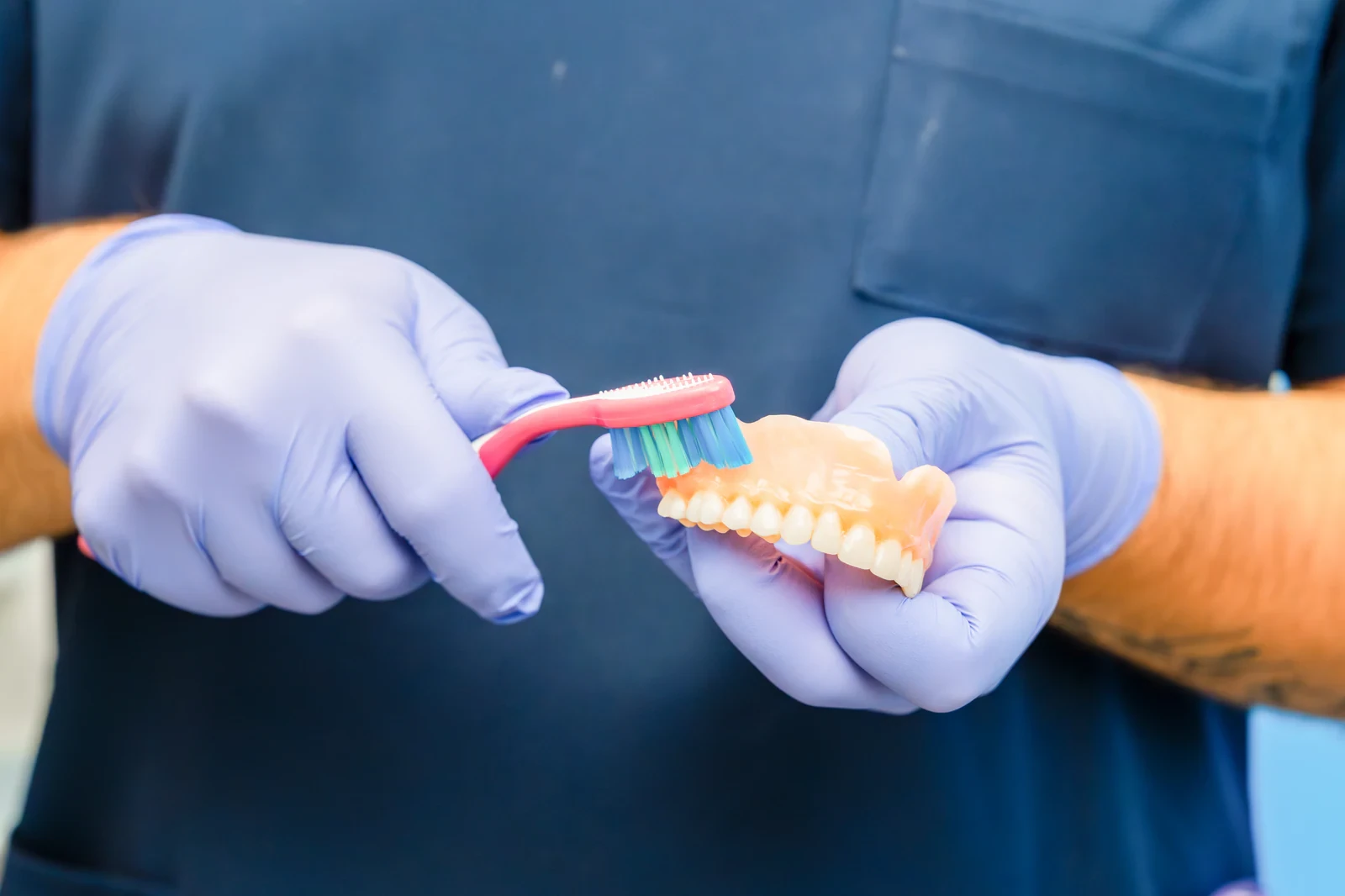 Profesional dental mostrando una técnica de cepillado suave en un modelo dental.